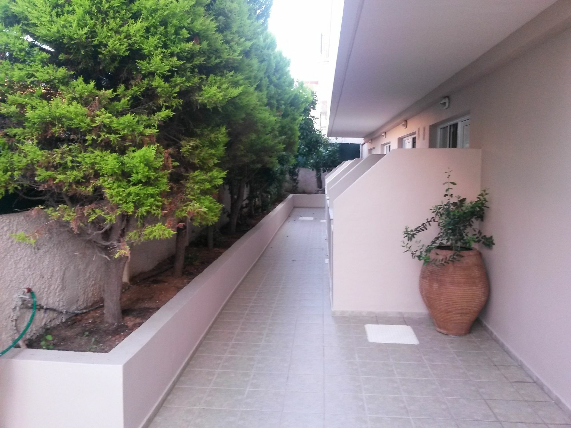 Zannis Hotel レティムノ エクステリア 写真